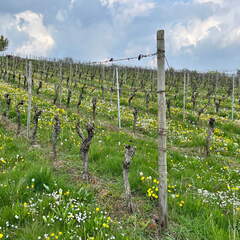 22-04-25 14-40-23 0647